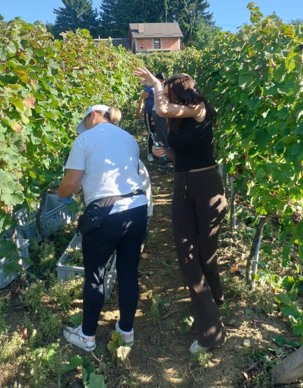 8925e2eb 54eb 4778 96b4 Bb79d1c2c07c