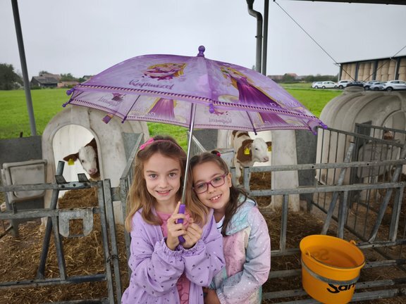 92c4a014 09a8 418d B279 B0f5c373be81.jfif 648x432 Q85 Subsampling 2