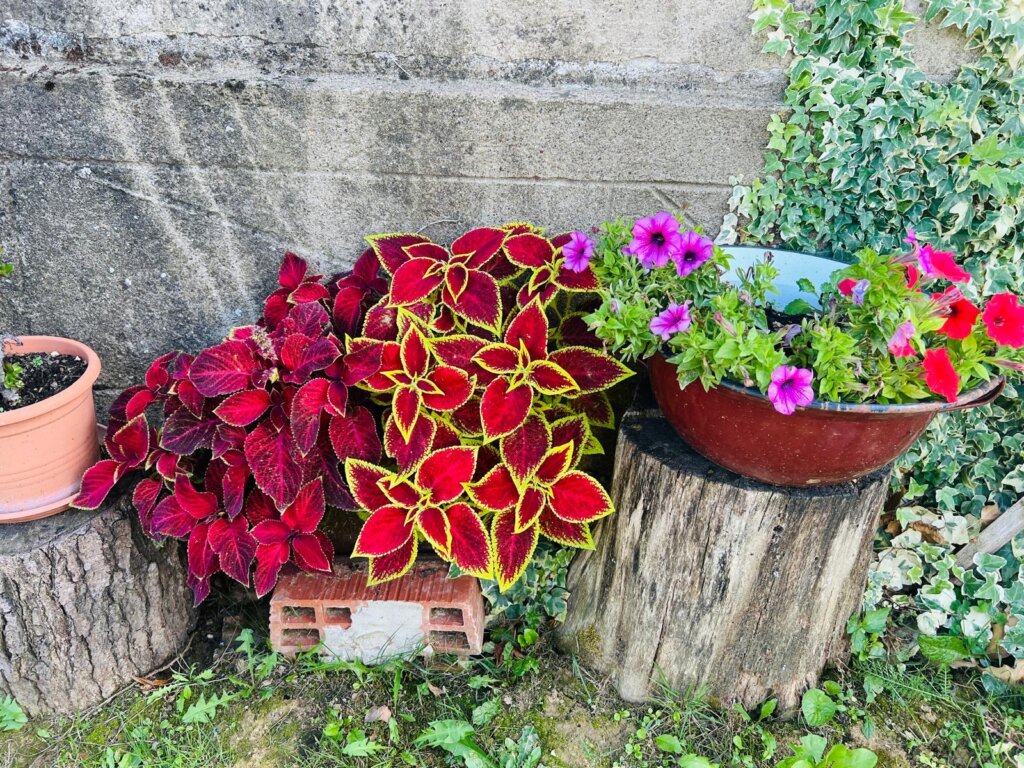 976d0369 F883 4d9c Ab2b 9518cc82a0fd