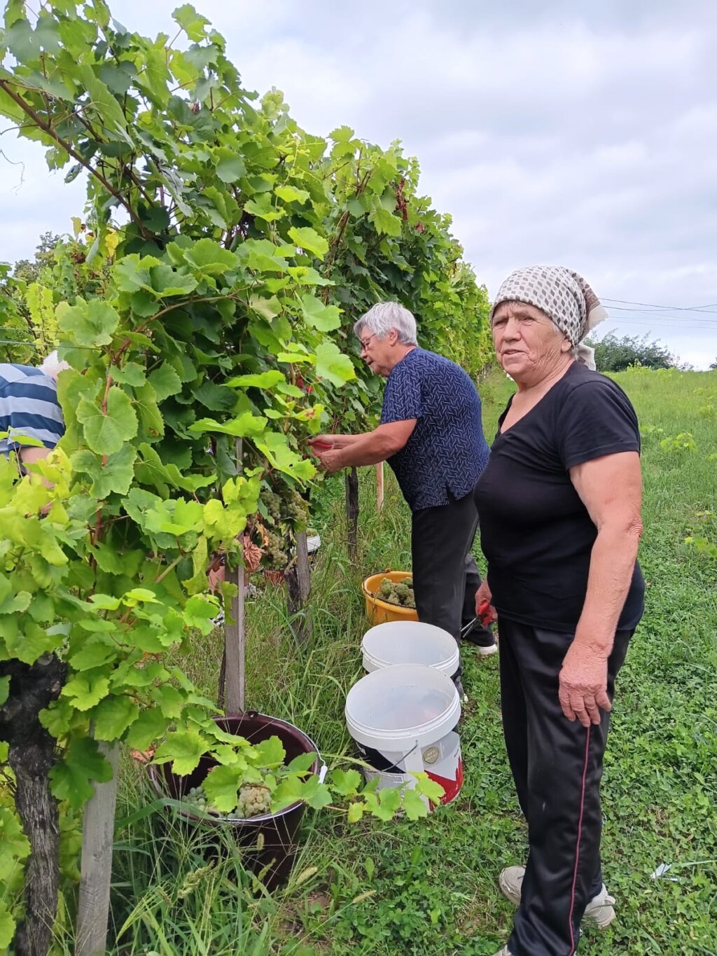 9b106e77 953d 44bc Bb7b 1a4483746b8f