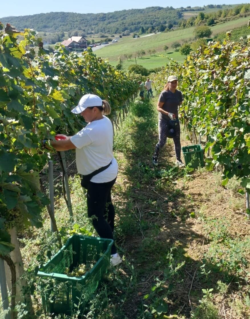 9cf2050a C26f 4a8a Be08 0cc444b26508