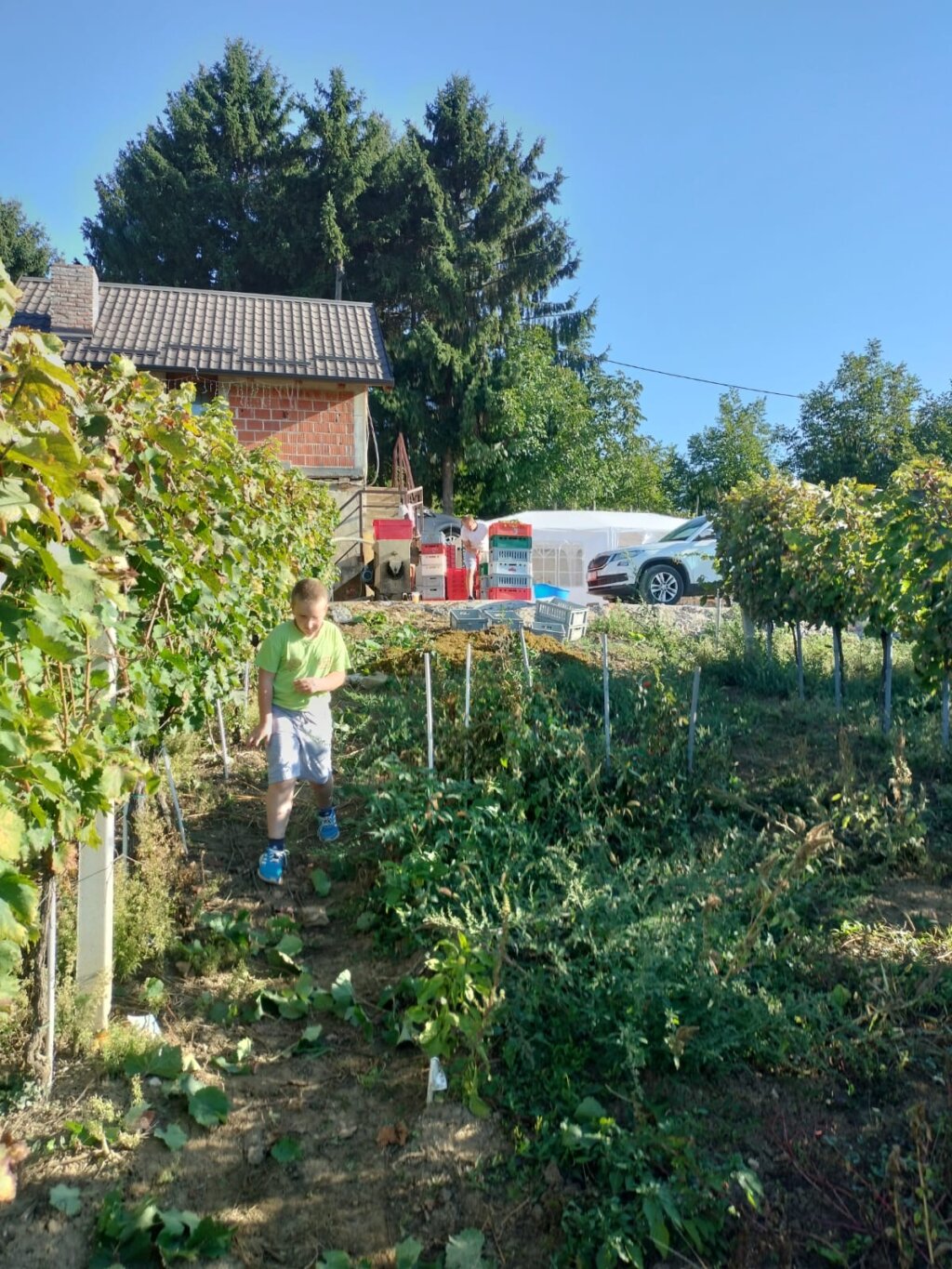 9f391257 2270 4178 849d A076a7d8239b