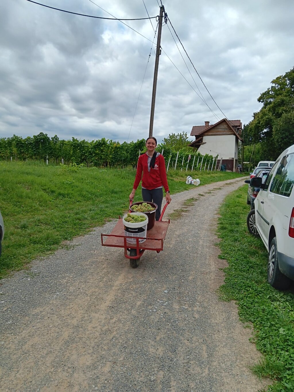 9fd31dc5 5fe5 4824 8363 Cb1c60222ff0