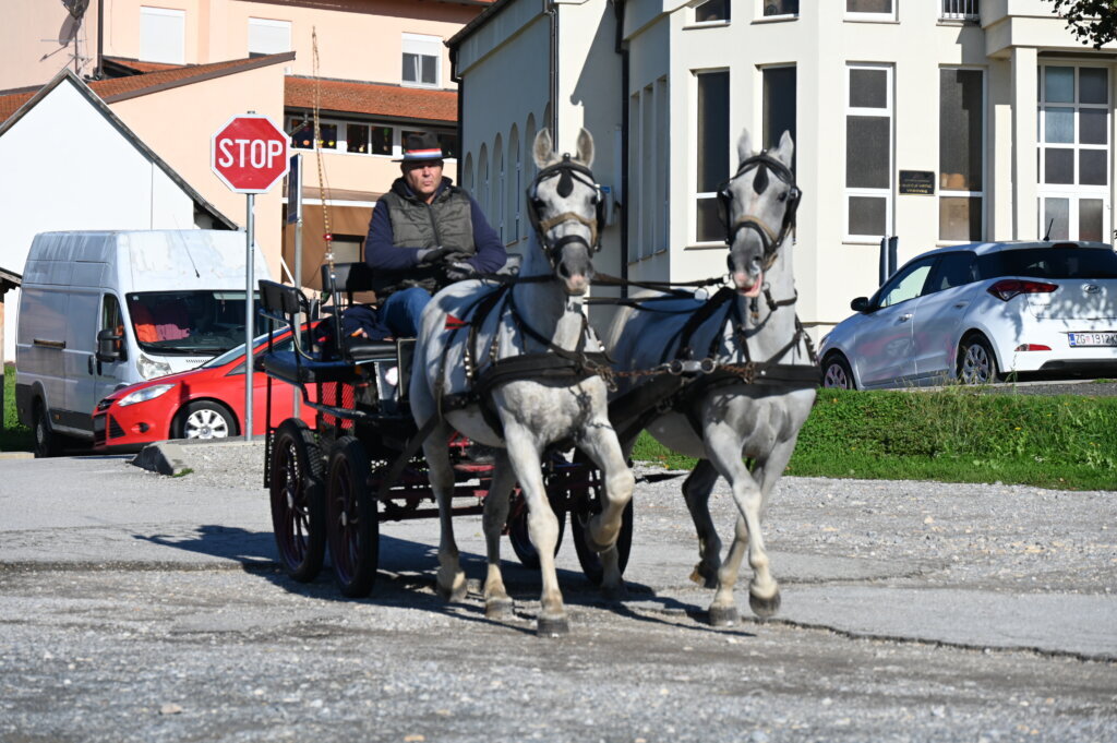 Osmo Vrbovečko projahivanje i konjičke igre pomaknute zbog lošeg vremena