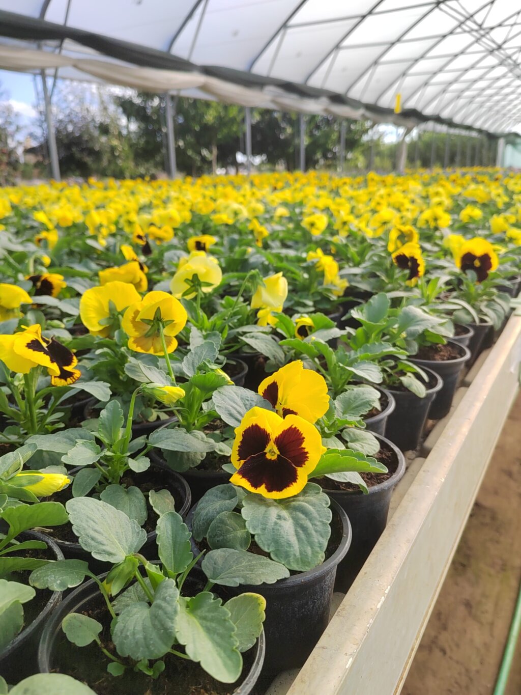 Img 20240925 150939 Scaled 1