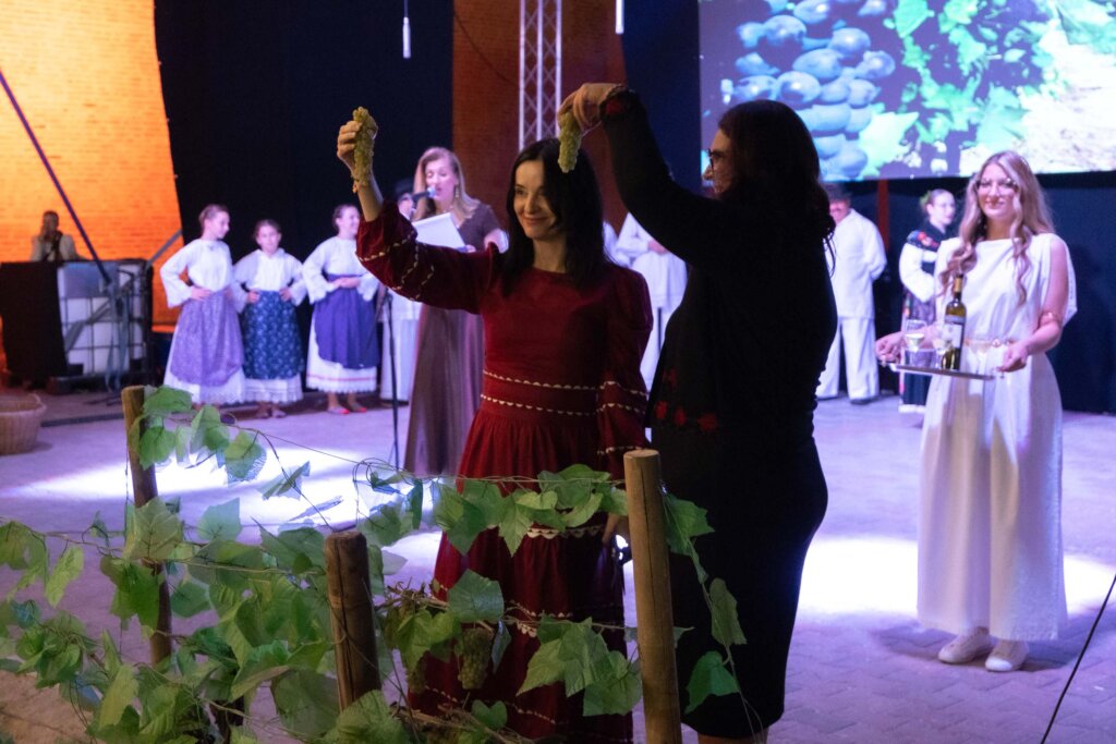 Ilockaberba2025izbor 36