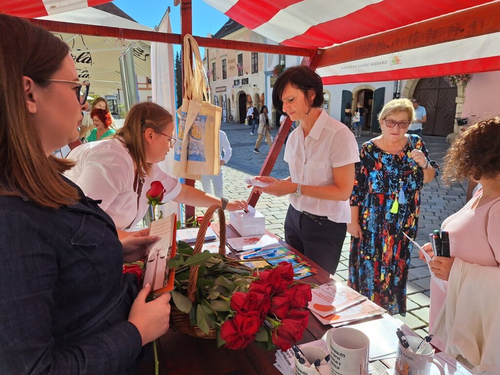 Nacionalni Dan Borbe Protiv Nasilja Nad ženama (3)