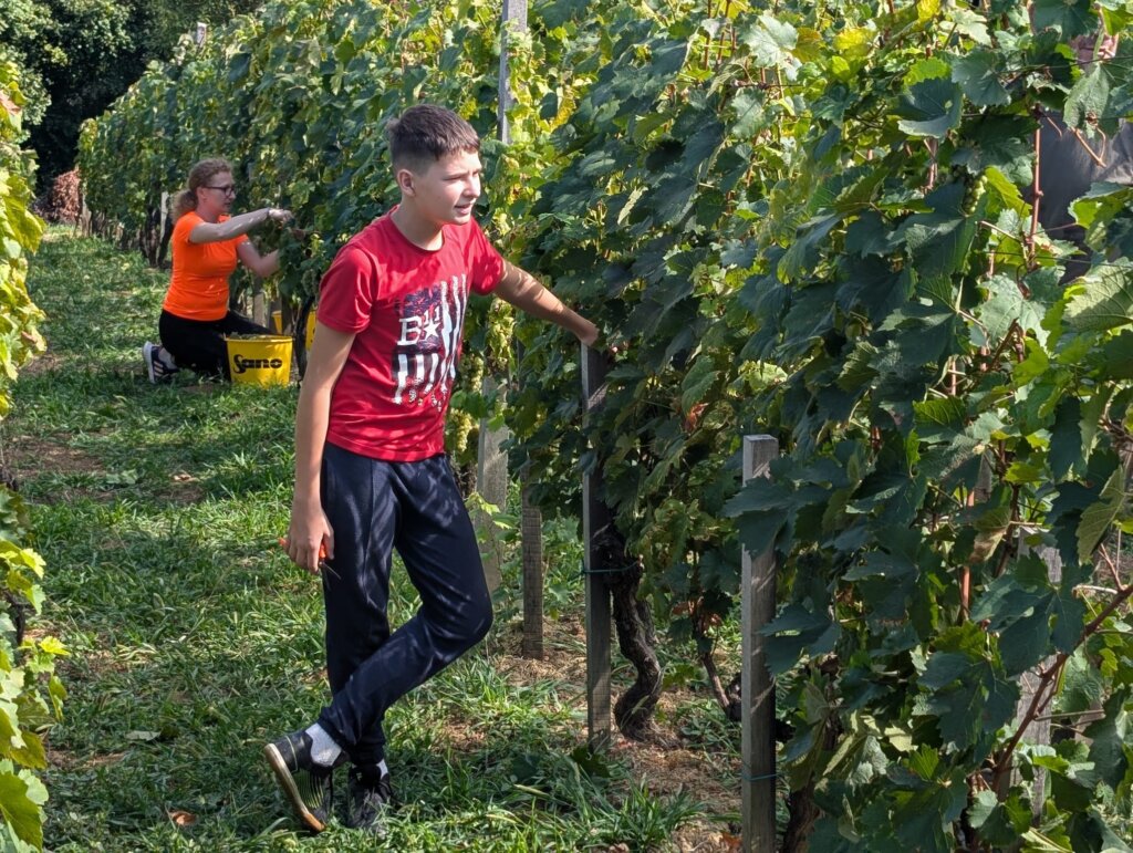 Photo 2025 09 06 16 55 59