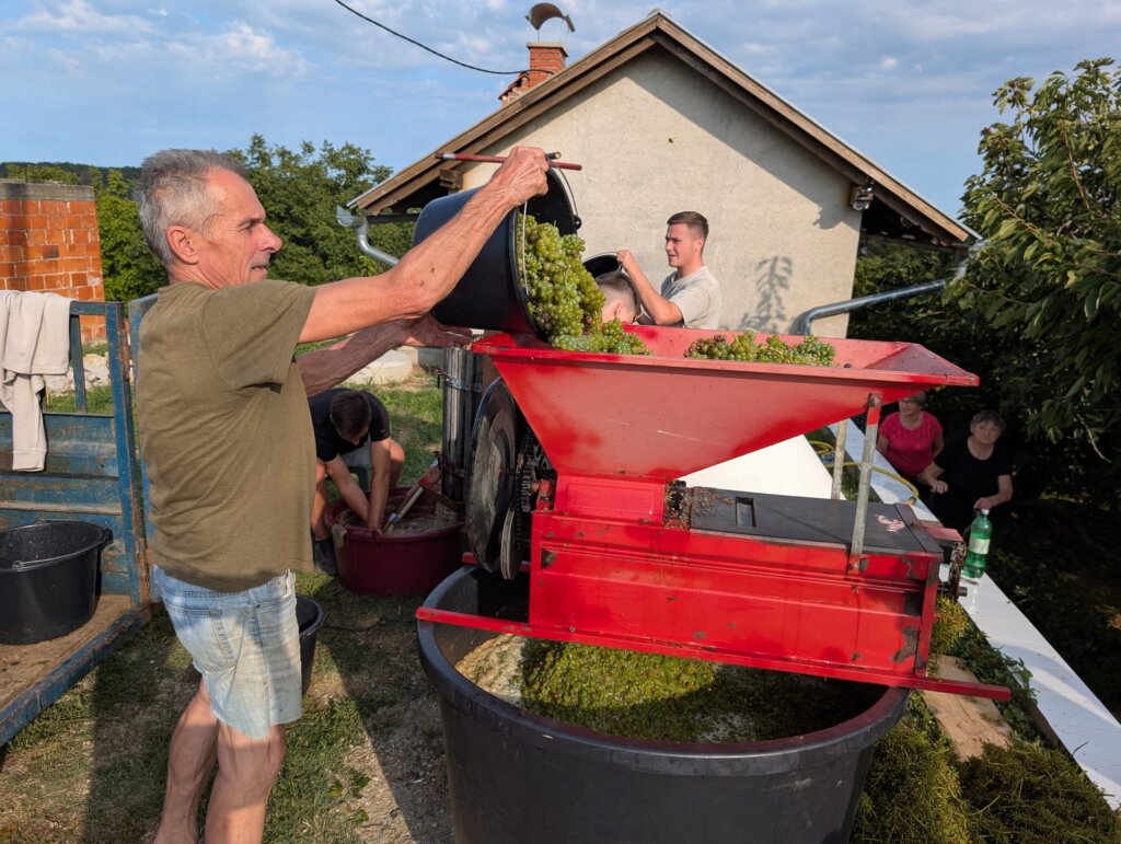 Photo 2025 09 06 16 55 59 1