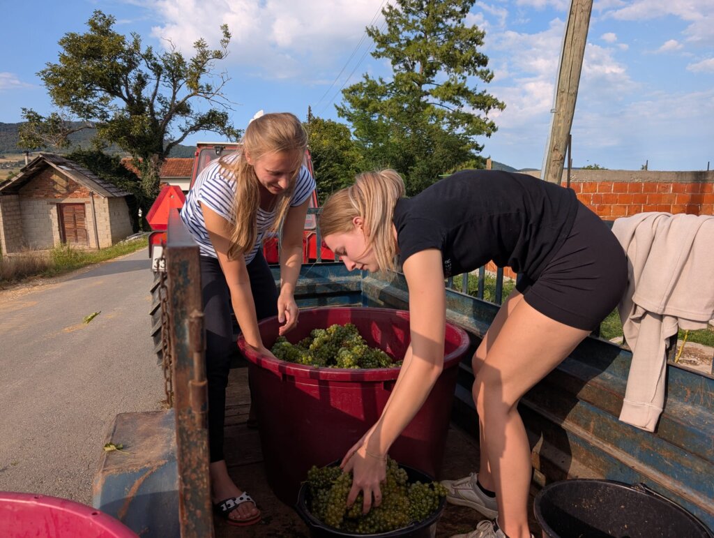 Photo 2025 09 06 16 55 59 3