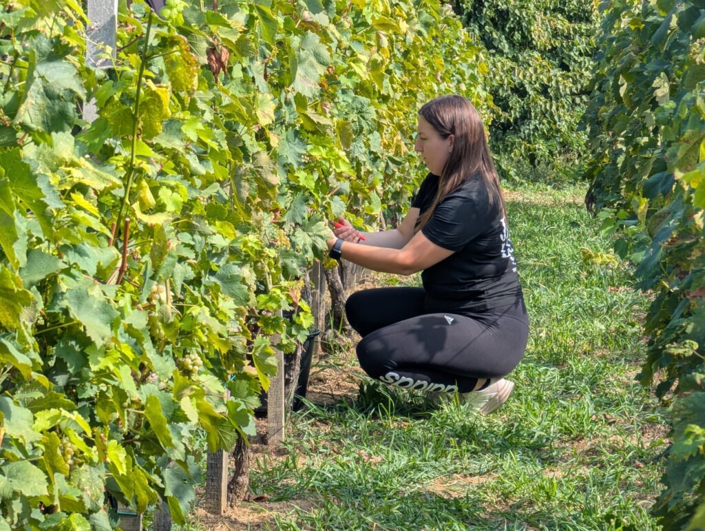 Photo 2025 09 06 16 56 00 1