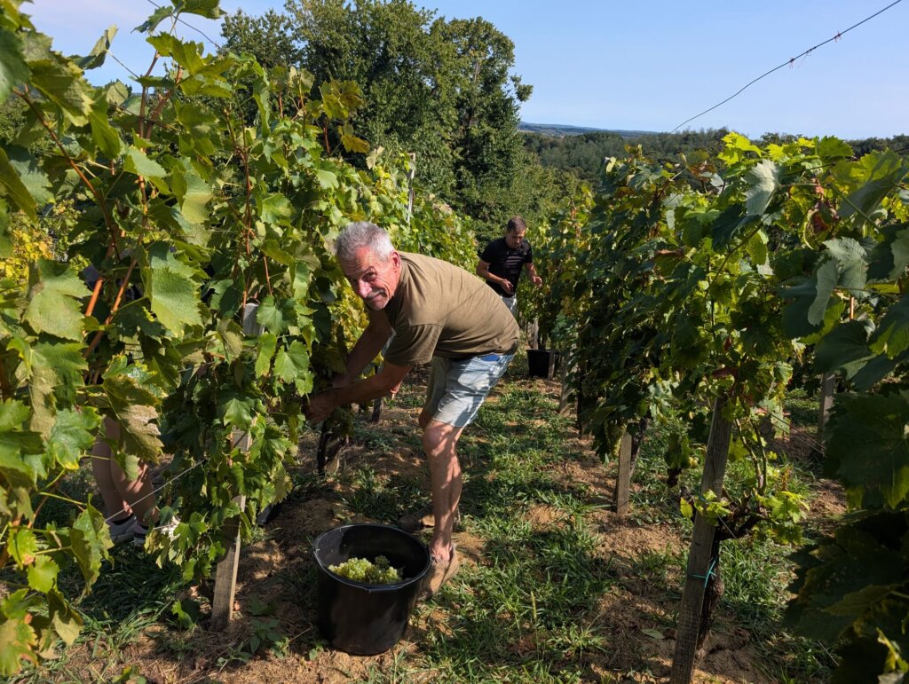 Photo 2025 09 06 16 56 00 2