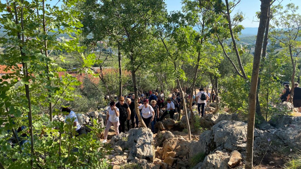 Photo 2025 09 14 13 17 53 6