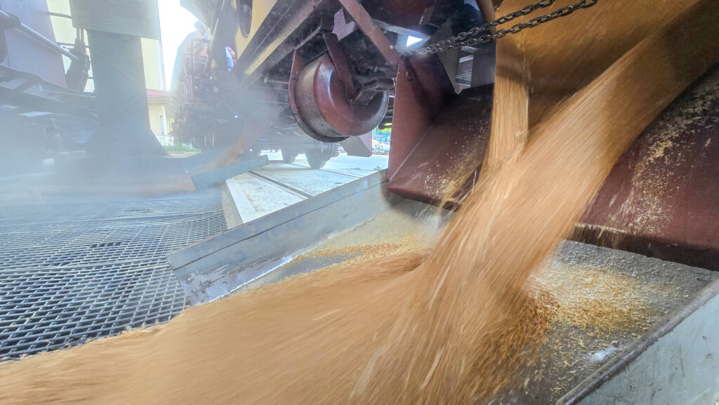 Podravka Ponovo Pokrenula Zaprimanje Pšenice željezničkim Putem (2)