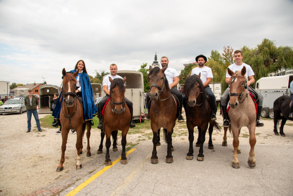 [FOTO/VIDEO] Održano vrbovečko projahivanje i konjičke igre
