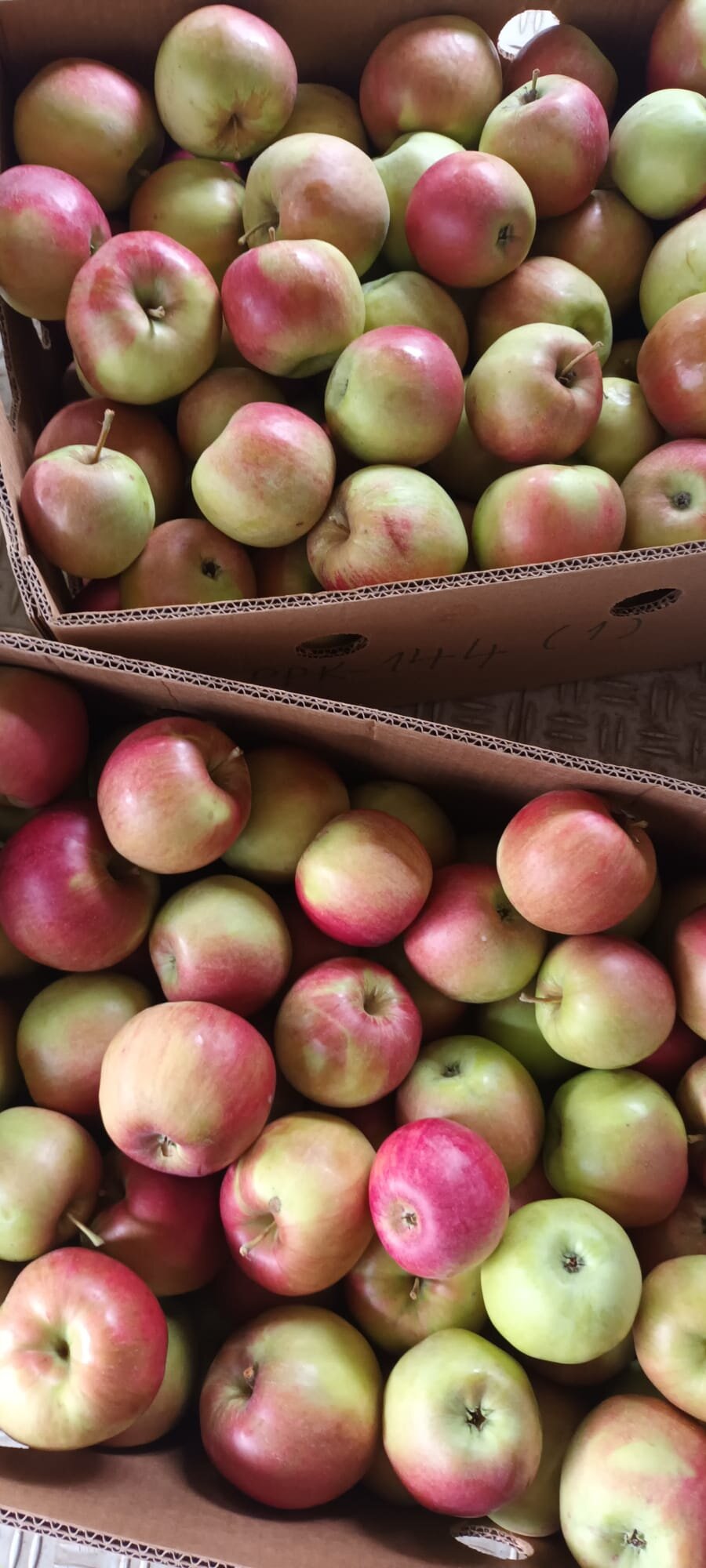 A9013618 8156 4271 8c2b E3452c3b75b2