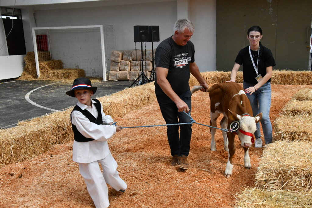 Bambino Kup 8972 (10)