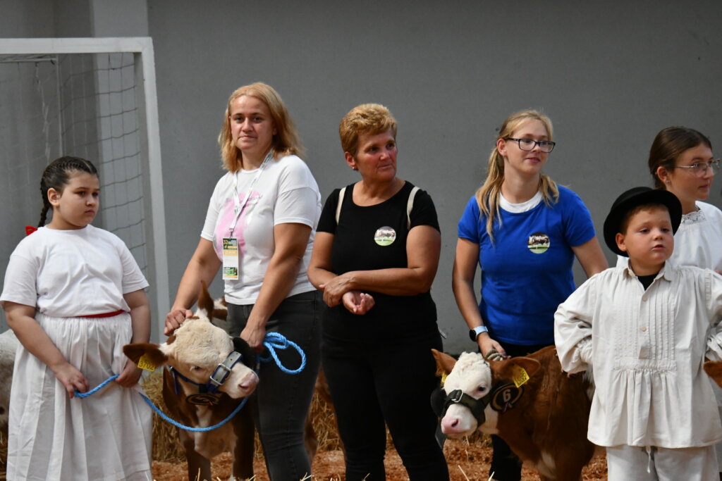 Bambino Kup 8972 (101)