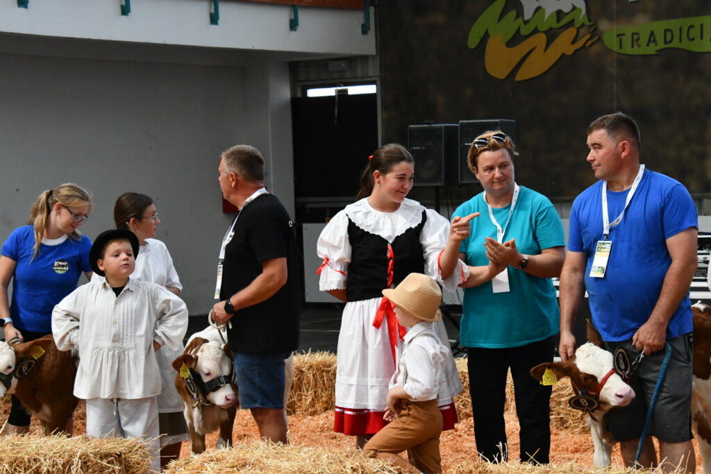 Bambino Kup 8972 (102)