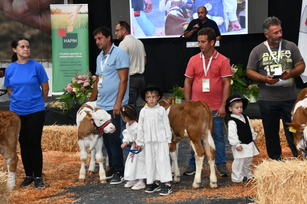 Bambino Kup 8972 (104)