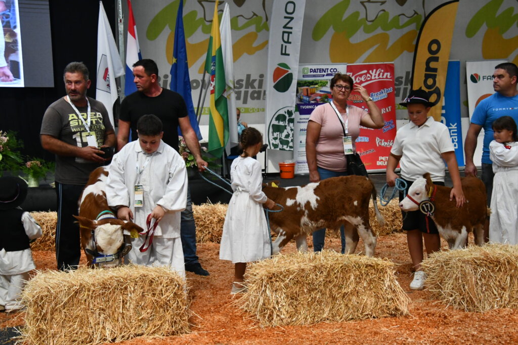 Bambino Kup 8972 (105)