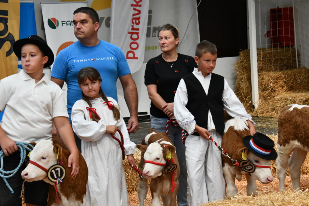 Bambino Kup 8972 (106)