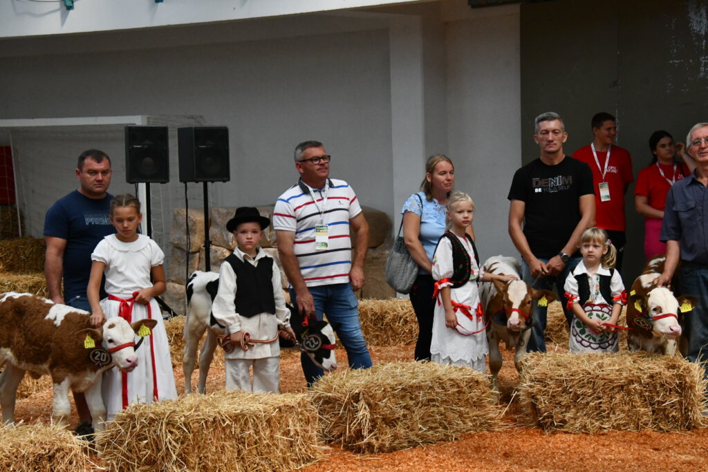 Bambino Kup 8972 (107)