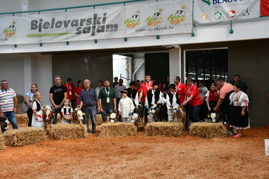 Bambino Kup 8972 (108)