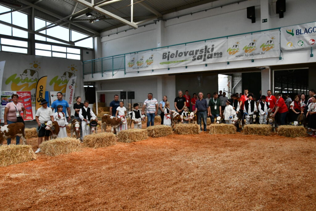 Bambino Kup 8972 (109)