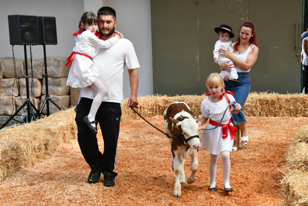 Bambino Kup 8972 (11)