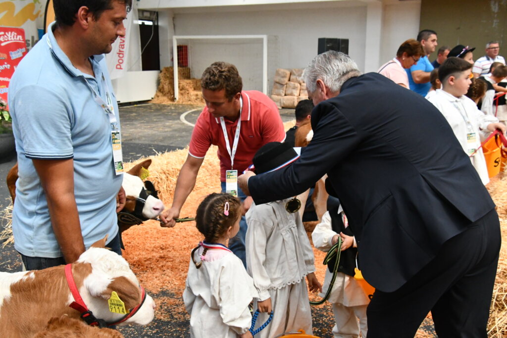 Bambino Kup 8972 (110)