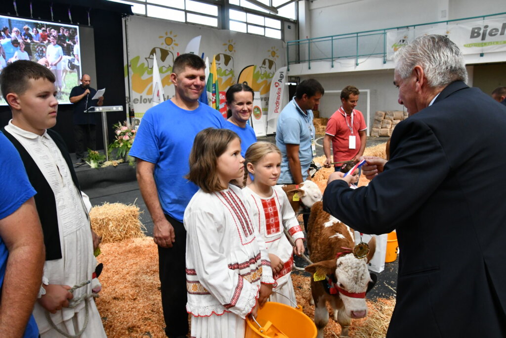 Bambino Kup 8972 (113)