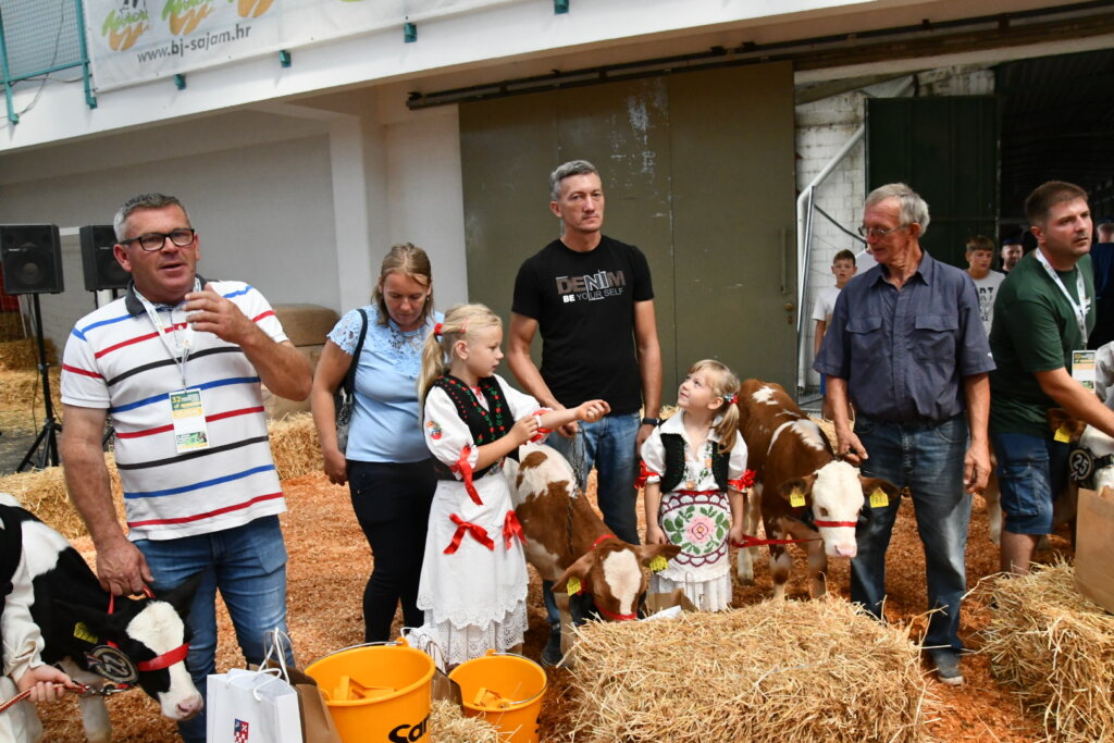 Bambino Kup 8972 (119)