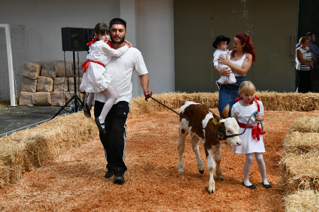 Bambino Kup 8972 (12)