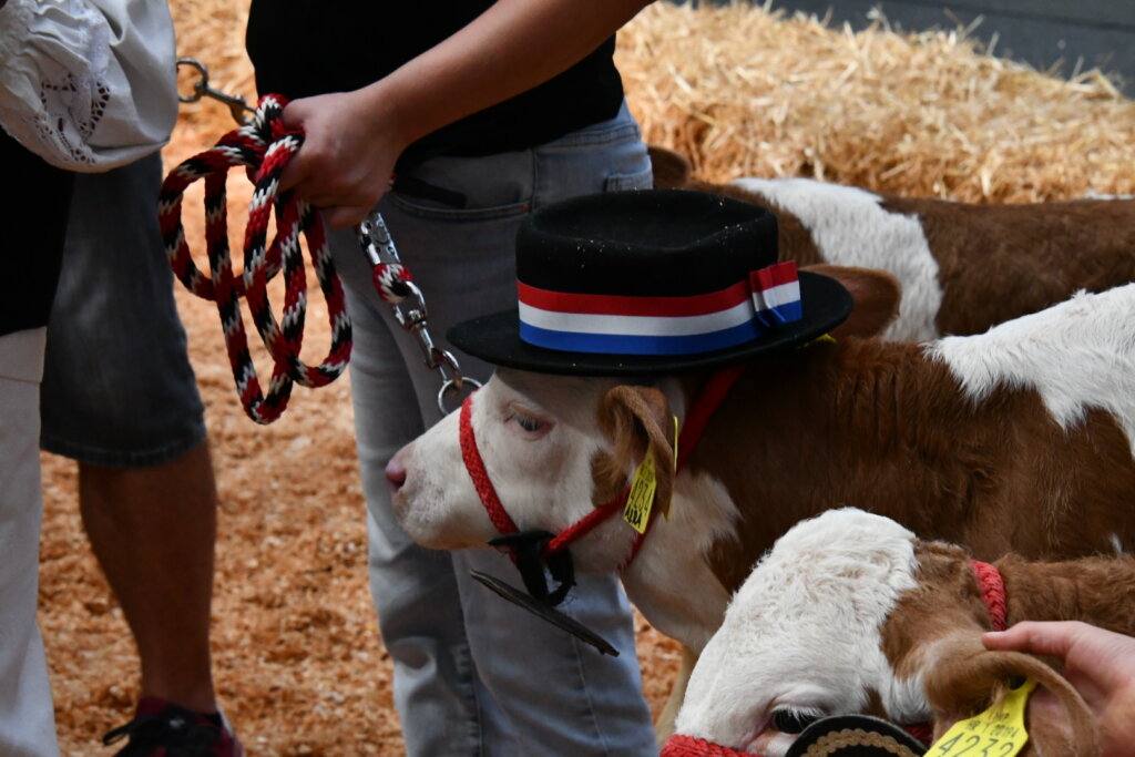 Bambino Kup 8972 (121)