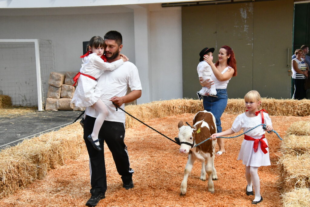 Bambino Kup 8972 (13)