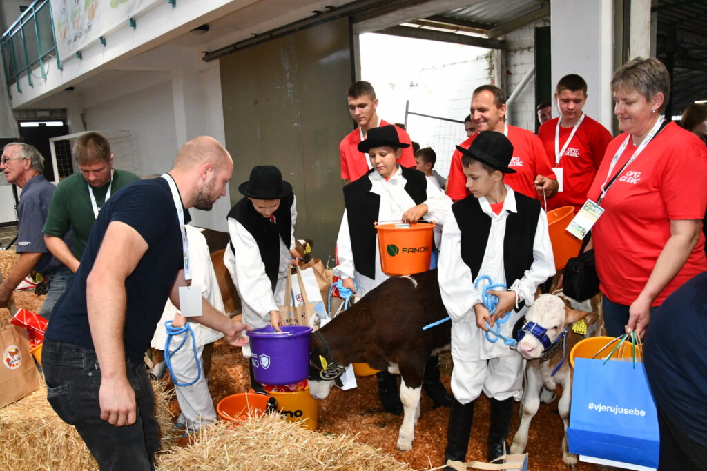 Bambino Kup 8972 (132)