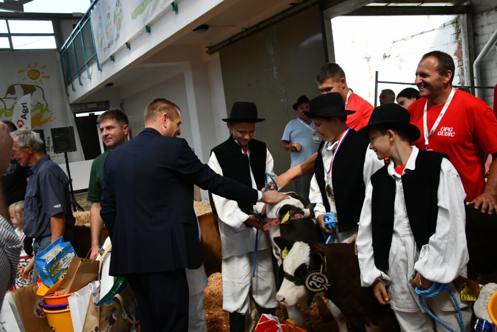 Bambino Kup 8972 (133)