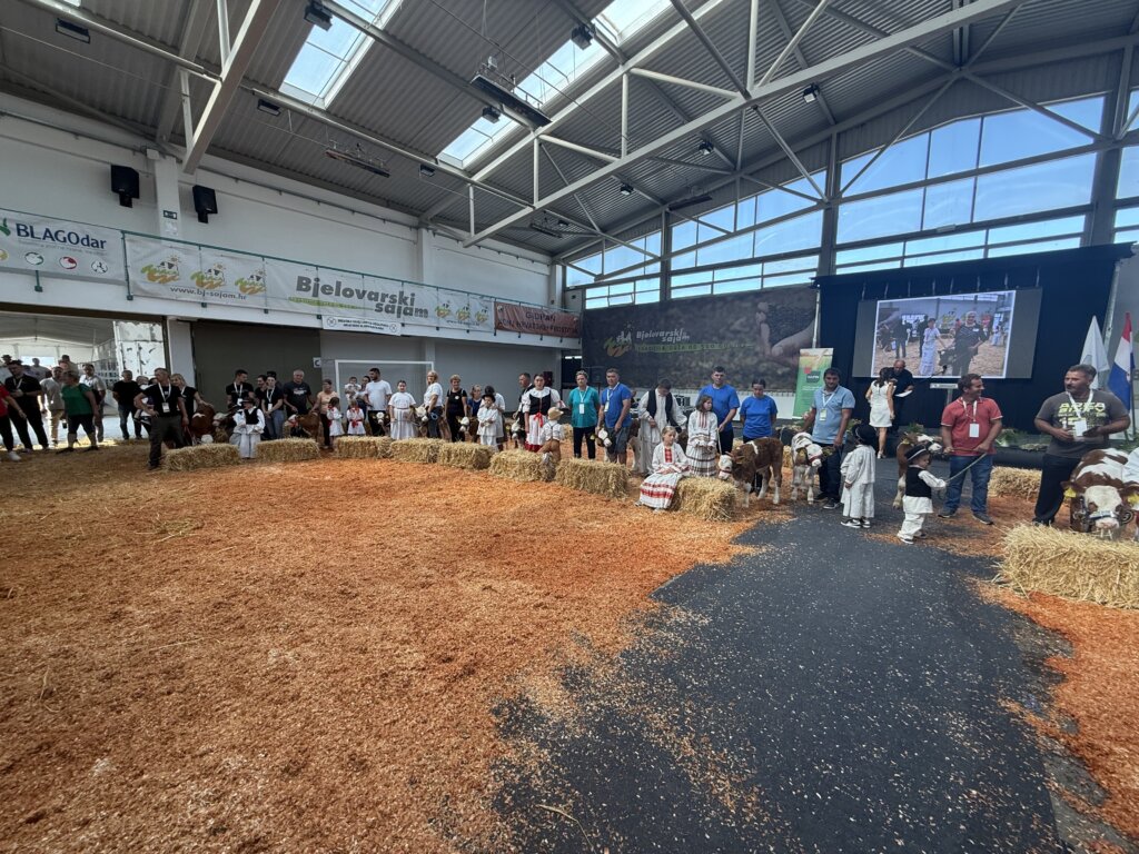 Bambino Kup 8972 (159)