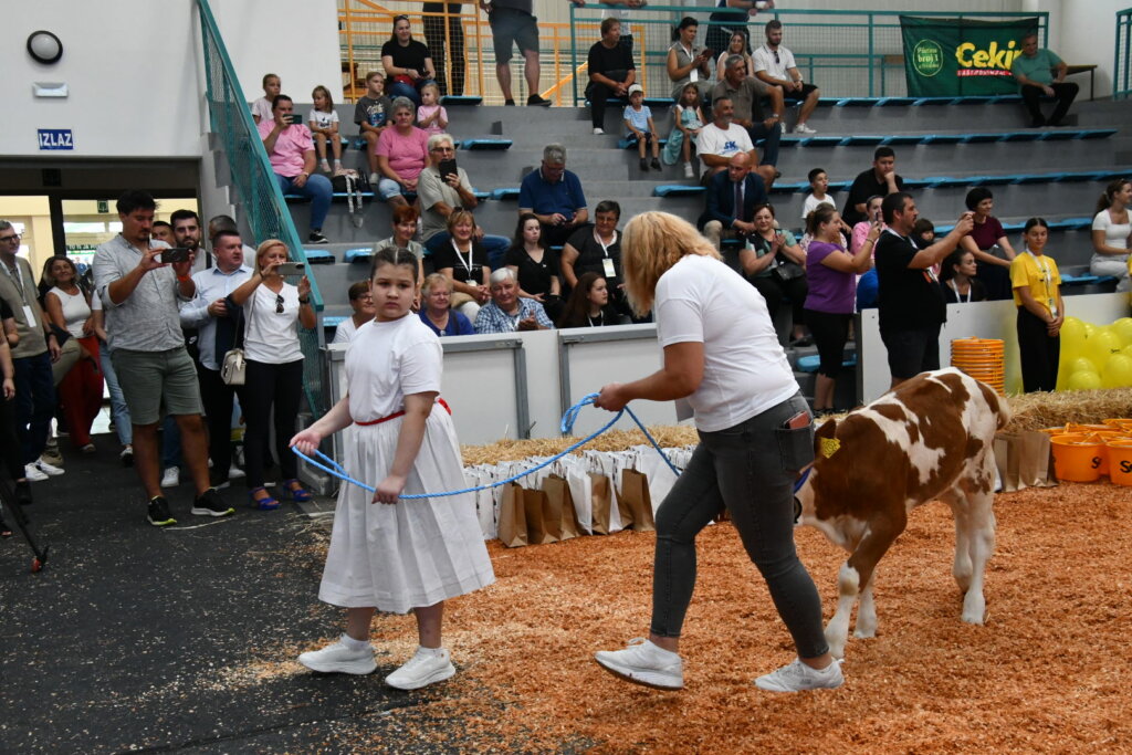 Bambino Kup 8972 (16)