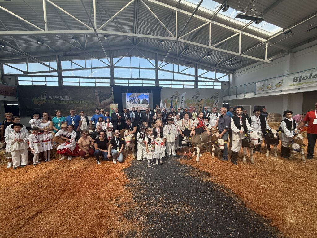 Bambino Kup 8972 (163)