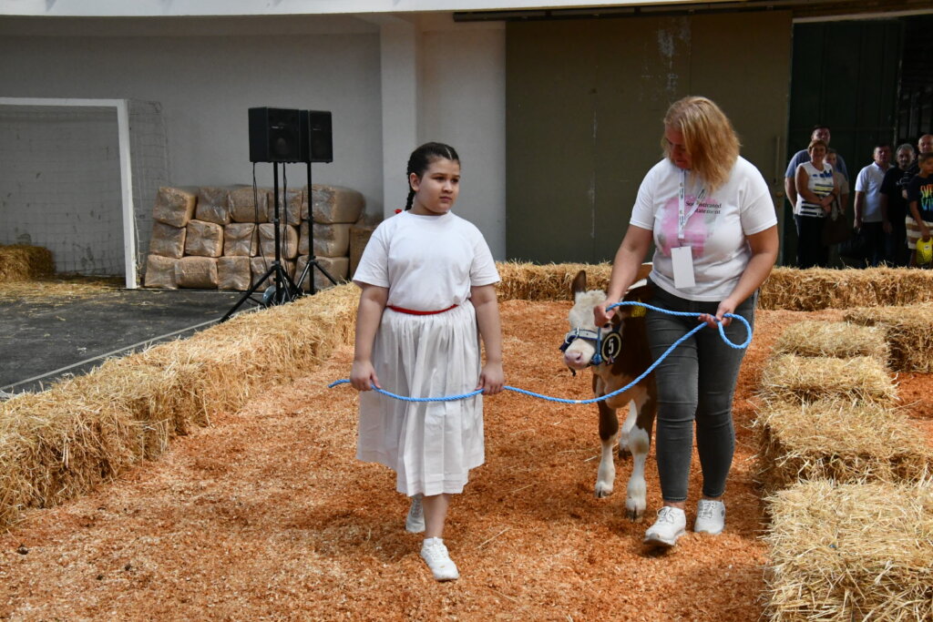 Bambino Kup 8972 (18)