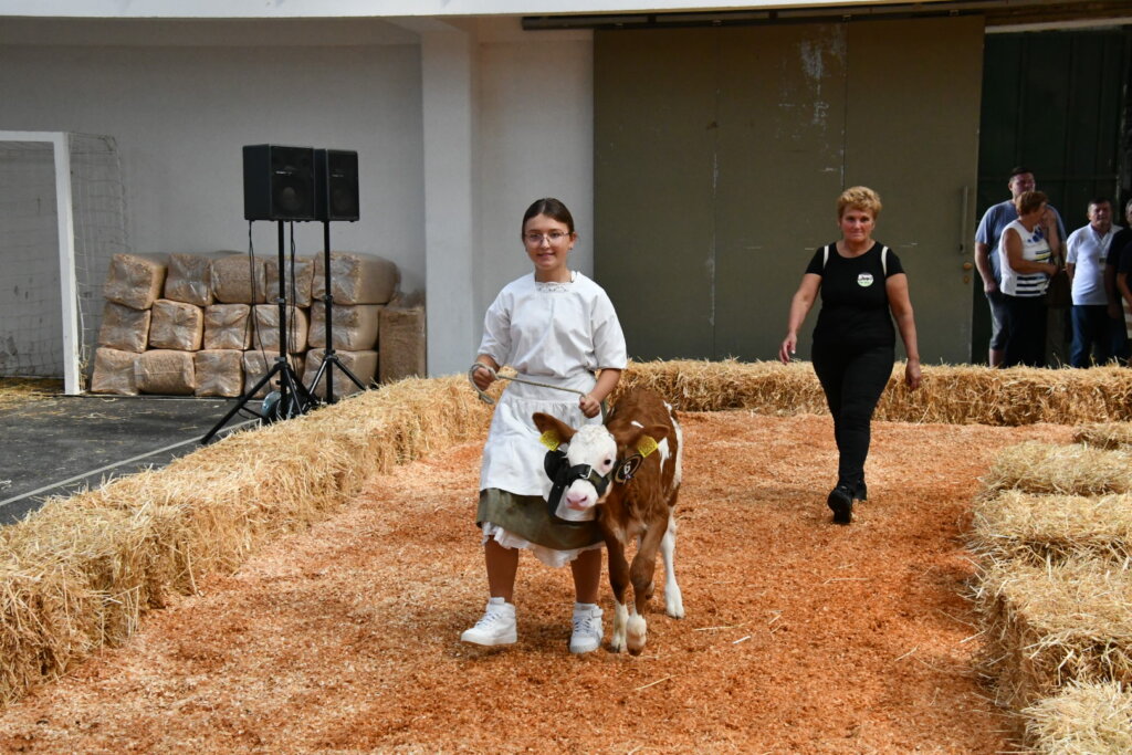 Bambino Kup 8972 (21)