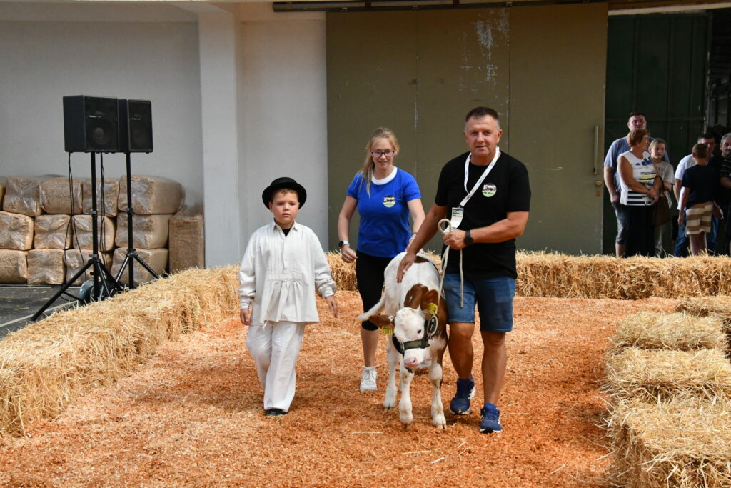 Bambino Kup 8972 (23)