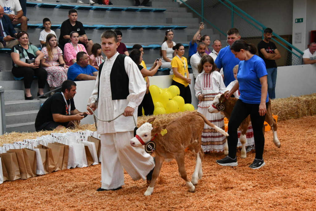 Bambino Kup 8972 (28)