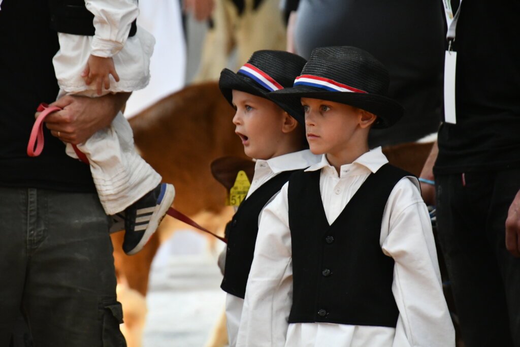 Bambino Kup 8972 (30)