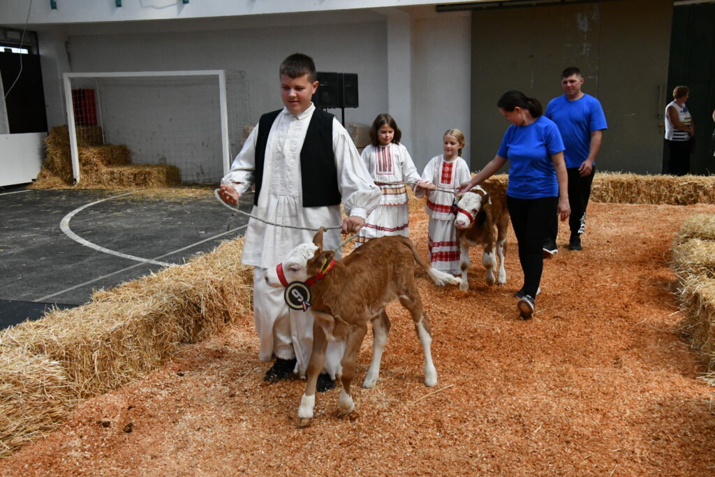 Bambino Kup 8972 (32)