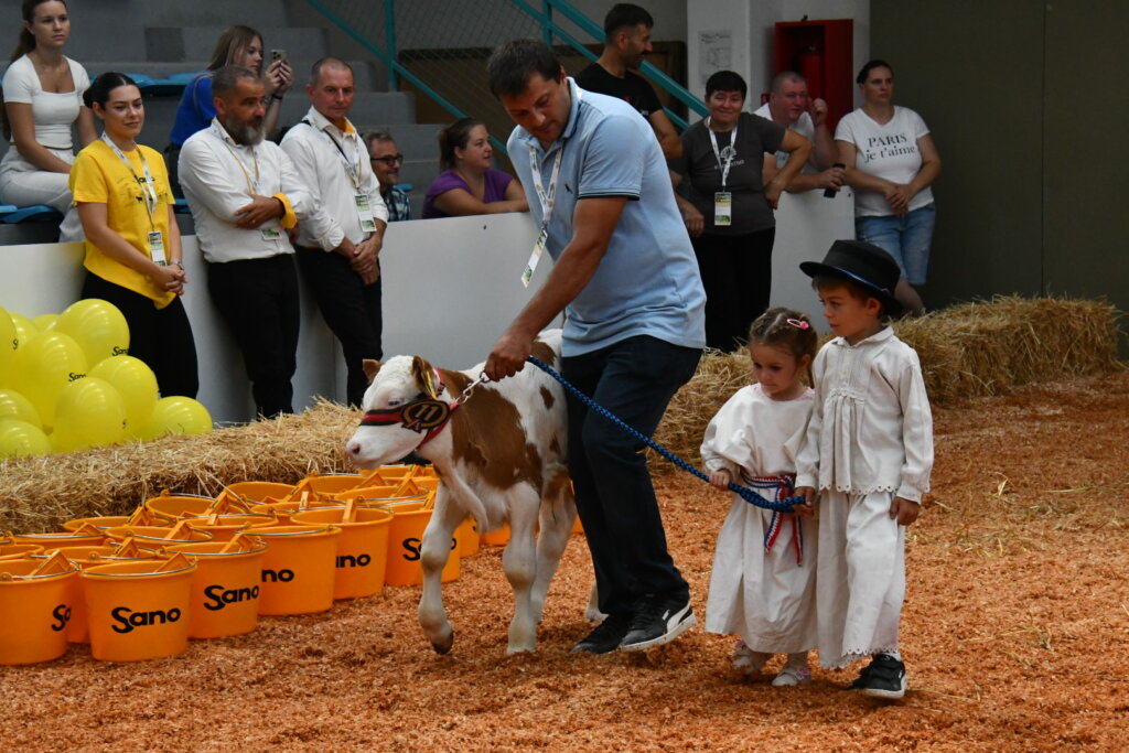 Bambino Kup 8972 (34)