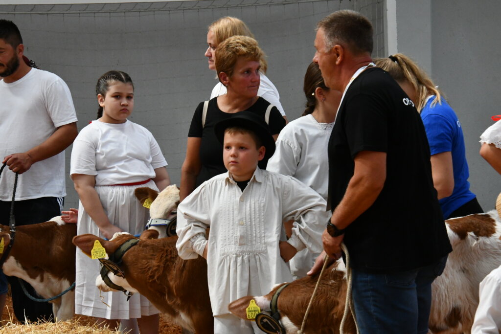 Bambino Kup 8972 (36)