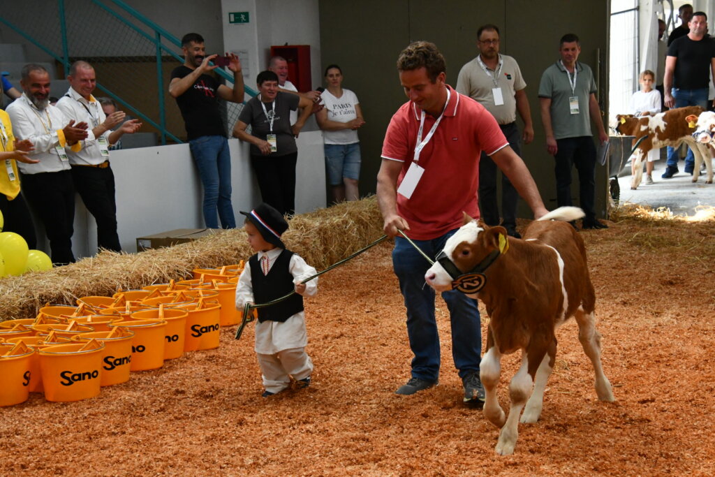 Bambino Kup 8972 (38)